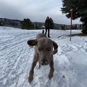 Meet your Posher, Vittoria